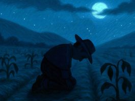 FUCOA lanza serie de radioteatros y animaciones basadas en relatos del mundo rural de Chile