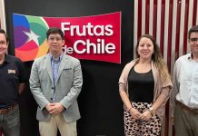 Fruta chilena refuerza su ofensiva frutícola en el mercado de Indonesia