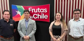 Fruta chilena refuerza su ofensiva frutícola en el mercado de Indonesia