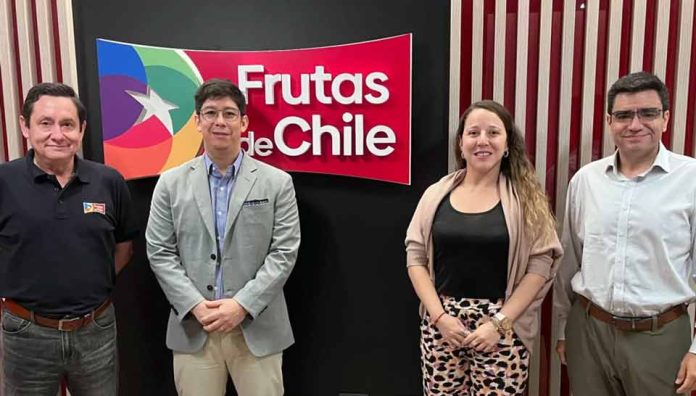 Fruta chilena refuerza su ofensiva frutícola en el mercado de Indonesia