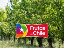 Declaración pública Frutas de Chile – Nuevo ministro de Agricultura