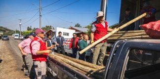 Gobierno inicia entrega de ayudas tempranas para agricultores afectados por incendios en el sur de Chile