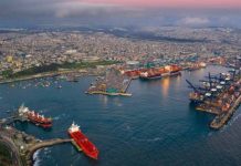 STI concentró el 53% de los envíos de cerezas de Valparaíso