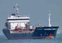 Hasta 81% menos emisiones: el biodiésel demuestra su poder contra uno de los contaminantes más dañinos del planeta