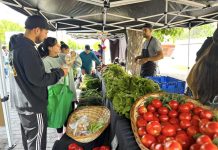 INDAP Biobío destaca avances en agricultura sostenible, comercialización y juventudes rurales durante 2025