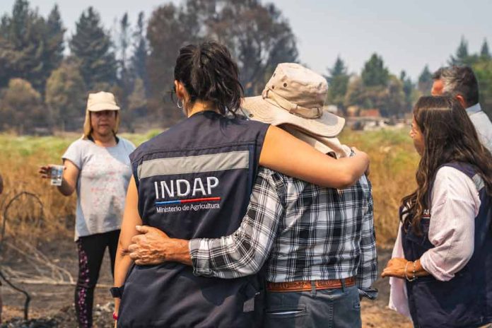 INDAP activa plan de alivio financiero inmediato para agricultores de Ñuble y Biobío ante emergencia por incendios