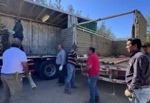 INDAP se despliega en la Región de Ñuble con ayuda temprana para afectados por incendios forestales