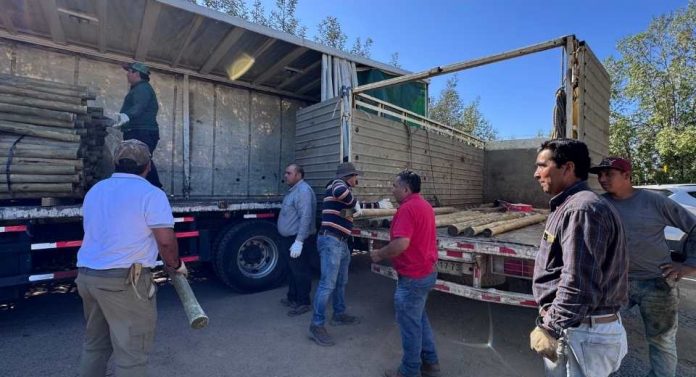 INDAP se despliega en la Región de Ñuble con ayuda temprana para afectados por incendios forestales