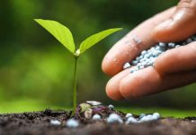 Iansa Insumos Agrícolas: Liderando la Innovación y la sostenibilidad del Agro en Chile Iansa Insumos Agrícolas: Liderando la Innovación y la sostenibilidad del Agro en Chile