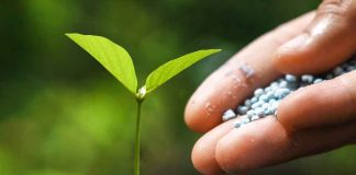 Iansa Insumos Agrícolas: Liderando la Innovación y la sostenibilidad del Agro en Chile