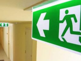 Incendios en Ñuble y Biobío ponen en evidencia brecha crítica en evacuaciones Incendios en Ñuble y Biobío ponen en evidencia brecha crítica en evacuaciones