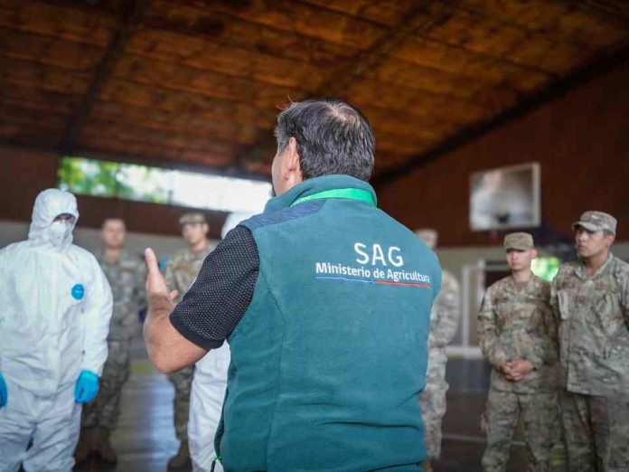 Incendios forestales: capacitan a brigadas del Ejército en rescate de fauna y animales domésticos