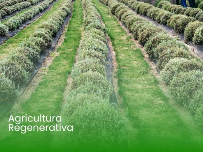 Inversión con Propósito: La ruta para movilizar capital hacia la agricultura regenerativa y la naturaleza