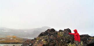 Investigadores buscan proteger a la Antártica de invasiones vegetales