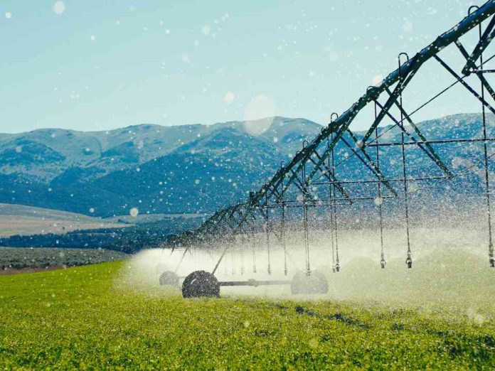 Komet Irrigation invierte en el futuro de la agricultura en Latinoamérica a través de nuevo centro de innovación