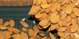 Los frutos secos españoles buscan ganar peso en la UE ante un escenario exterior cambiante