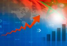 Marruecos, nuevo estándar de productividad en la industria global del arándano Marruecos, nuevo estándar de productividad en la industria global del arándano