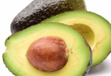 Michoacán cierra el paso a huertas sin “cero deforestación” y frena exportación de palta hacia EEUU Michoacán cierra el paso a huertas sin “cero deforestación” y frena exportación de palta hacia EEUU