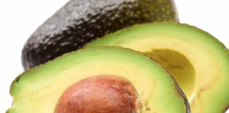 Michoacán cierra el paso a huertas sin “cero deforestación” y frena exportación de palta hacia EEUU