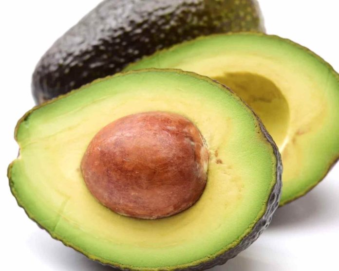 Michoacán cierra el paso a huertas sin “cero deforestación” y frena exportación de palta hacia EEUU