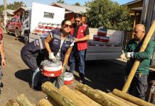 Ministerio de Agricultura anuncia declaración de emergencia agrícola para las comunas afectadas por los incendios en la Región de Ñuble