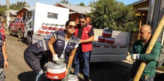 Ministerio de Agricultura anuncia declaración de emergencia agrícola para las comunas afectadas por los incendios en la Región de Ñuble