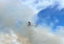 Ministerio de Agricultura anuncia declaración de emergencia agrícola para la Región de la Araucanía como consecuencia de los incendios forestales