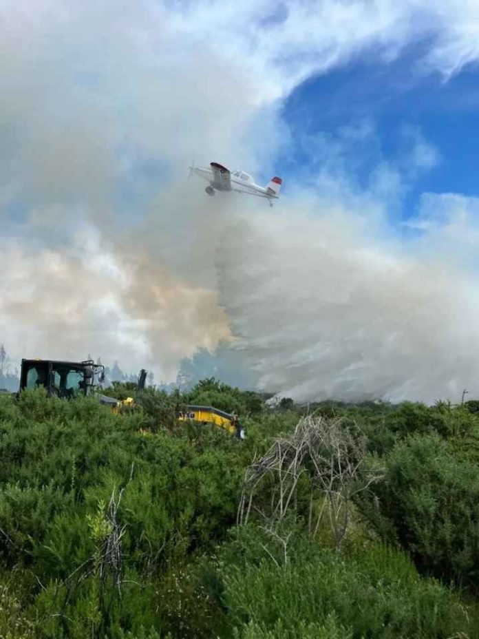 Ministerio de Agricultura anuncia declaración de emergencia agrícola para la Región de la Araucanía como consecuencia de los incendios forestales