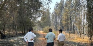 Ministerio de Economía inicia levantamiento de información para activar instrumentos de reconstrucción productiva en regiones afectadas por incendios forestales