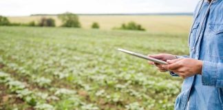 Ñuble abre convocatorias por $2.400 millones para fortalecer la inversión y el turismo en empresas y emprendedores de la región