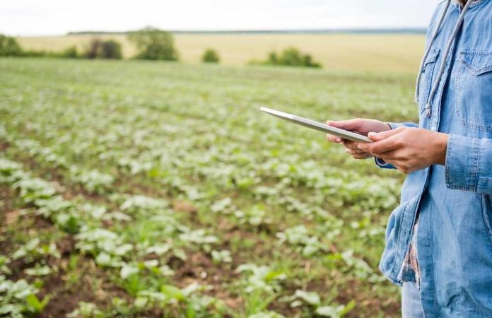 Ñuble abre convocatorias por $2.400 millones para fortalecer la inversión y el turismo en empresas y emprendedores de la región Ñuble abre convocatorias por $2.400 millones para fortalecer la inversión y el turismo en empresas y emprendedores de la región