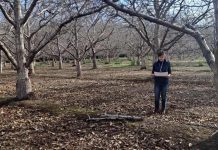 Odepa y Ciren publican resultados del Catastro Frutícola en las regiones Metropolitana y de Valparaíso