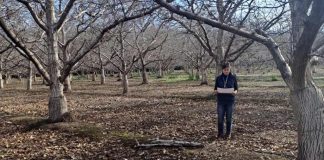 Odepa y Ciren publican resultados del Catastro Frutícola en las regiones Metropolitana y de Valparaíso