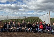 PTI Agroalimentos de Magallanes de Corfo avanza en su segundo año con nueva sesión de gobernanza en INIA Kampenaike PTI Agroalimentos de Magallanes de Corfo avanza en su segundo año con nueva sesión de gobernanza en INIA Kampenaike