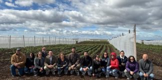 PTI Agroalimentos de Magallanes de Corfo avanza en su segundo año con nueva sesión de gobernanza en INIA Kampenaike