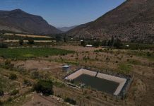 Pequeña agricultora de Salamanca optimiza el riego de sus cultivos mediante proyecto bonificado por la Ley de Riego Pequeña agricultora de Salamanca optimiza el riego de sus cultivos mediante proyecto bonificado por la Ley de Riego