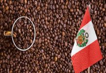 Perú | El despertar de la Amazonía. Exportaciones de la selva peruana alcanza cifra histórica de US$ 4.100 millones en 2025 Perú | El despertar de la Amazonía. Exportaciones de la selva peruana alcanza cifra histórica de US$ 4.100 millones en 2025