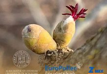 Zimex, la empresa de biotecnología en Chile, que consolida su investigación y desarrollo en “Polinización Asistida de Frutales” en Europa ante la crisis sistémica de polinizadores.