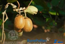 Zimex consolida su expansión en Europa con Polinización Asistida respaldada científicamente