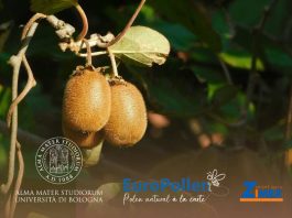 Zimex consolida su expansión en Europa con Polinización Asistida respaldada científicamente