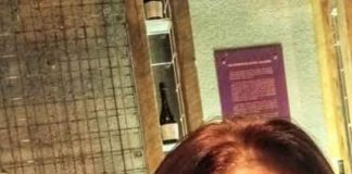 Portal Agro Desde Buenos Aires proponen crear un Lodge de Caballos en Chile para potenciar el Polo