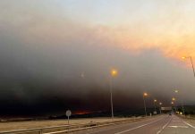 Presidente de Corma: “Hoy la prioridad es evitar pérdidas humanas y frenar la ocurrencia de nuevos incendios” Presidente de Corma: “Hoy la prioridad es evitar pérdidas humanas y frenar la ocurrencia de nuevos incendios”