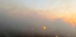 Presidente de Corma: “Hoy la prioridad es evitar pérdidas humanas y frenar la ocurrencia de nuevos incendios”