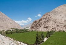 ANIAE elabora Primer Informe de Previsión de Vendimia 2026 ANIAE elabora Primer Informe de Previsión de Vendimia 2026