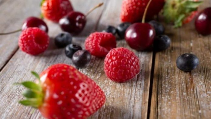 ProChile Maule destaca crecimiento de 7,7% en exportaciones durante 2025