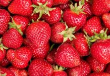 Productores de fresas de Florida presentan importantes peticiones antidumping contra importaciones mexicanas