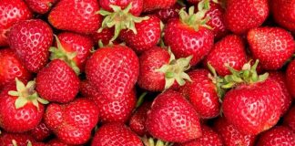 Productores de fresas de Florida presentan importantes peticiones antidumping contra importaciones mexicanas