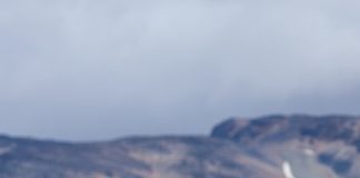 Proyecto Manku libera tres nuevos cóndores andinos en el Parque Nacional Patagonia