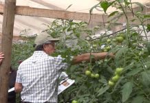 Proyecto de manejo de suelo y gestión hídrica beneficiará a productores del Maule