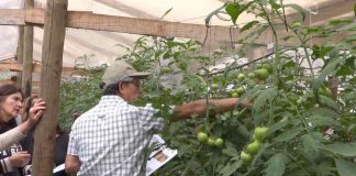 Proyecto de manejo de suelo y gestión hídrica beneficiará a productores del Maule